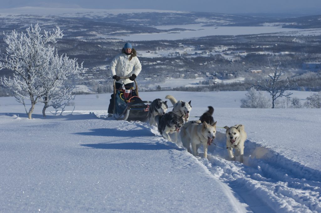 hondensledetocht, ervaar de winter in Sirdal, winterlandschap