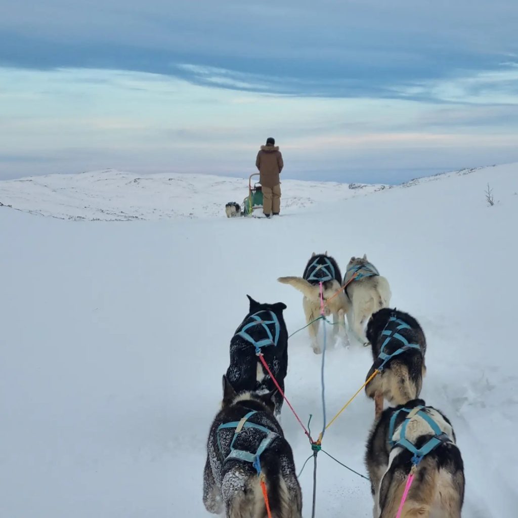 huskytocht, wintermagie in de Noorse bergen